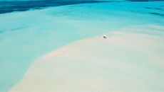 Dining in the lagoon