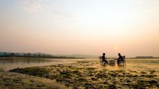 Signature experiences