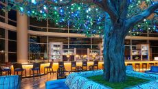 bat at night Fairmont Austin