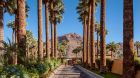 palm tree entrance