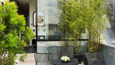 Suite Aurore 03 Le Narcisse Blanc