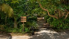 Spice garden 2 at Zuri Zanzibar