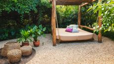 Spice garden at Zuri Zanzibar