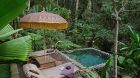 accommodation rainforest tent salt water pool