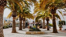 Hotel Californian Exterior6 Hotel Californian 2024