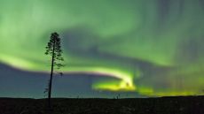 006542  Northern Lights