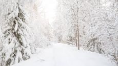  Loggers  Lodge  Winter