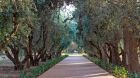Gardens Oberoi Marrakech