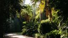 Royal Botanic Gardens