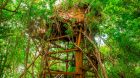 Tree house