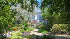 Grand Hyatt Atlanta in Buckhead PRINT 35 at Grand Hyatt Atlanta in Buckhead