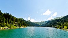 Surrounding Terrain Summer at Le Grand Bellevue