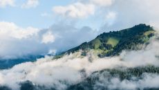 Surrounding Terrain Summer at Le Grand Bellevue