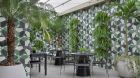 Green livingh wall