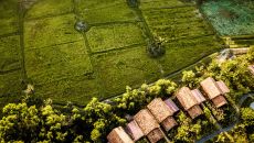 Rice Paddies 5 Zannier Bai San Ho