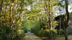 Garden walkways to rooms and Aman Spa 26421 Aman Kyoto