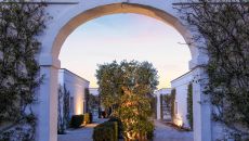 Walkway with  an olive tree at Masseria Torre Maizza