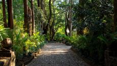 Amomoxtli Hotel entrance at Amomoxtli
