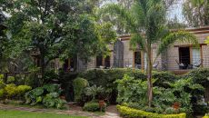 Amomoxtli Outside stone area at Amomoxtli