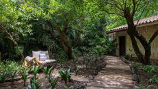 Amomoxtli Wooded area at Amomoxtli