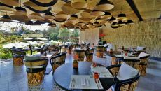 Amomoxtli Restaurant Mesa de Origen at Amomoxtli