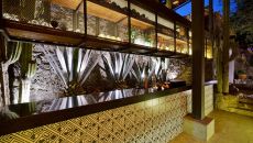 Amomoxtli Bar MO at Amomoxtli