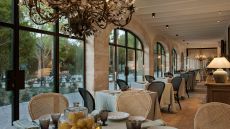 Jacaranda Night Finca Serena Mallorca