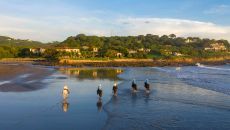 horseback riding on the beachat Rancho Santana