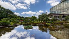 Japanese Garden 1 Hotel New Otani Tokyo