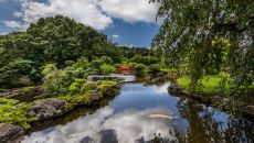 Japanese Garden 2 Hotel New Otani Tokyo