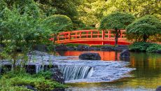 Japanese Garden 4 Hotel New Otani Tokyo