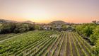 Estate Yountville at sunset