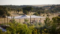 Gastronomy 2 at Octant Evora