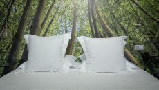 JS Bed at Senhora da Rosa