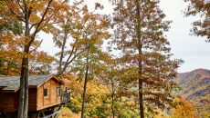 PRI Tree Houses Kiwi Primland Resort