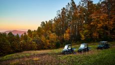 PRI RTV Kiwi Primland Resort