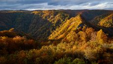 Exteriors Landscape 2021 01547 at Primland Resort