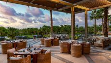 Arbol terraza Conrad Punta de Mita