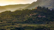 ISLAND LIFE Nikola Radovani 14 Maslina Resort