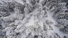 FORESTIS Aussenansicht Winter 39 FORESTIS