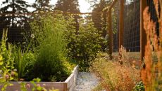 BCAM6247 The Lodge at St Edward State Park