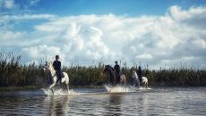 Experiences equs at Almar Giardino di Costanza Resort and Spa