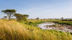 Mara River Mara River Tented Camp