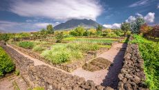 garden Singita Kwitonda Lodge