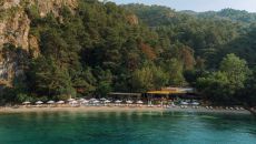 Main Image 2 Yazz Collective 2025