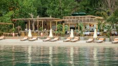 Main Image 9 Yazz Collective 2025