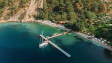 Main Image Yazz Collective 2025