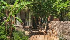 LNS9800 Yazz Collective 2025