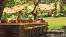 LNS9306 Yazz Collective 2025