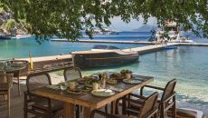 LNS9910 Yazz Collective 2025